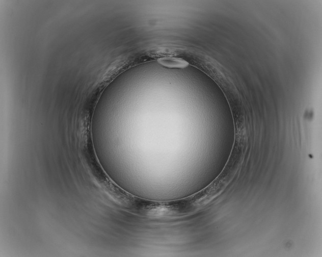 X0000091640460200709060941