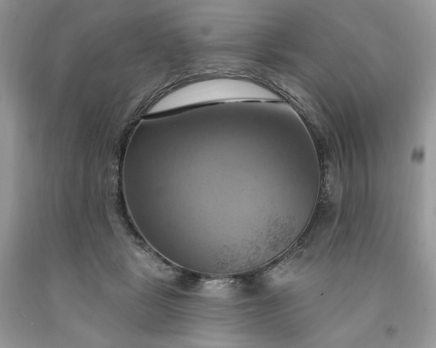 X0000091640461200709060941