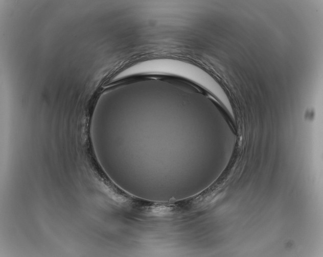 X0000091640462200709060941