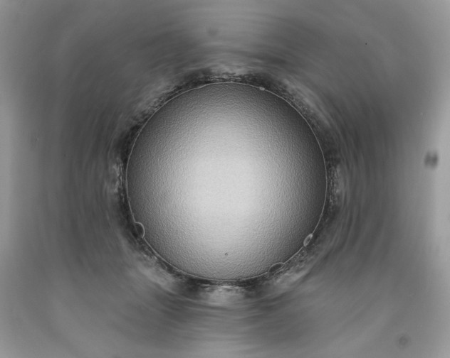 X0000091640463200709060941