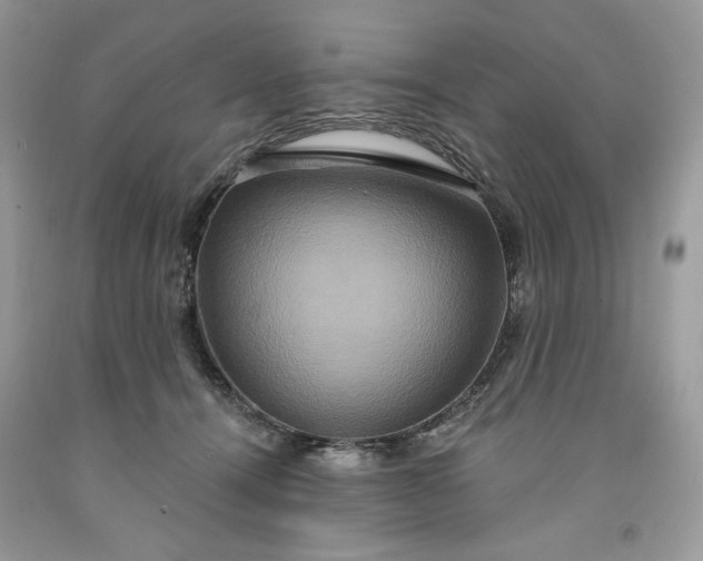 X0000091640464200709060941
