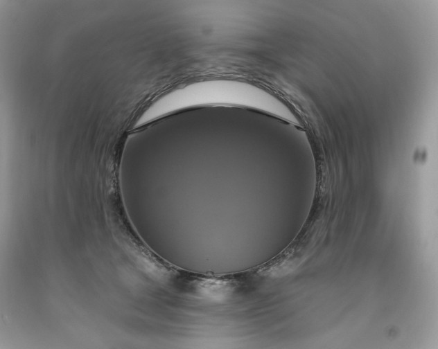 X0000091640465200709060941
