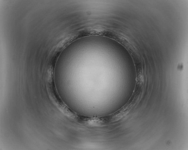 X0000091640468200709060941