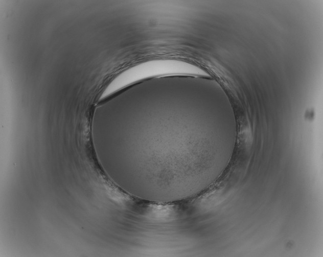 X0000091640469200709060941