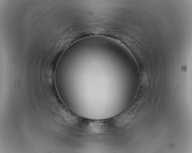 X0000091640470200709060941