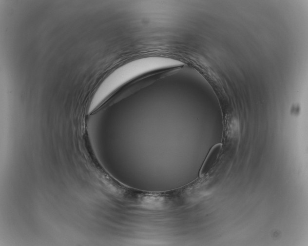 X0000091640471200709060941