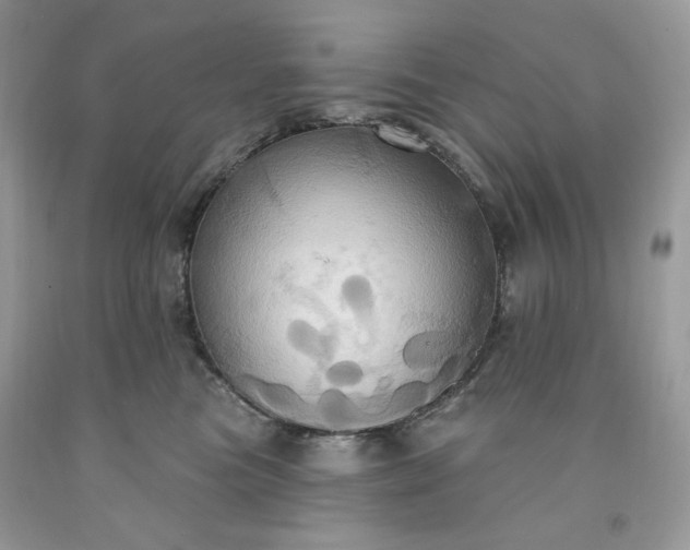 X0000091640473200709060941