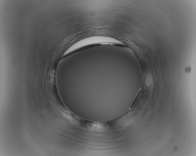 X0000091640475200709060941