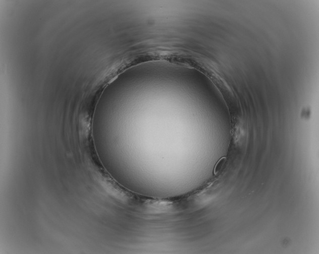 X0000091640476200709060941