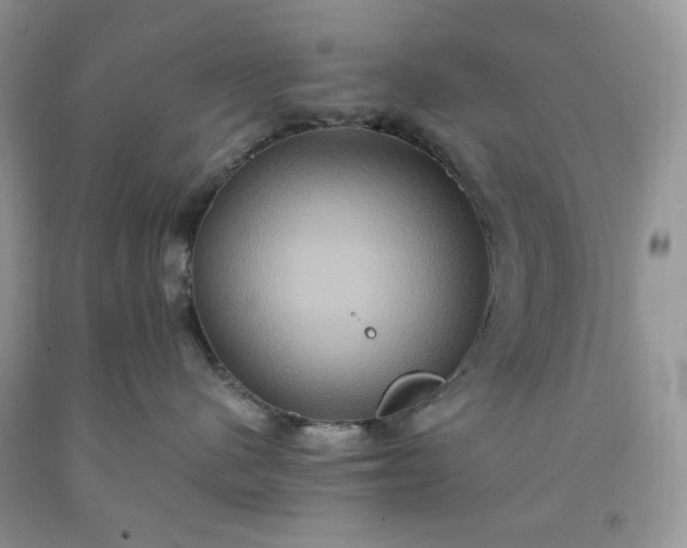X0000091640480200709060942