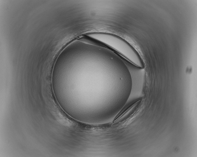 X0000091640481200709060941