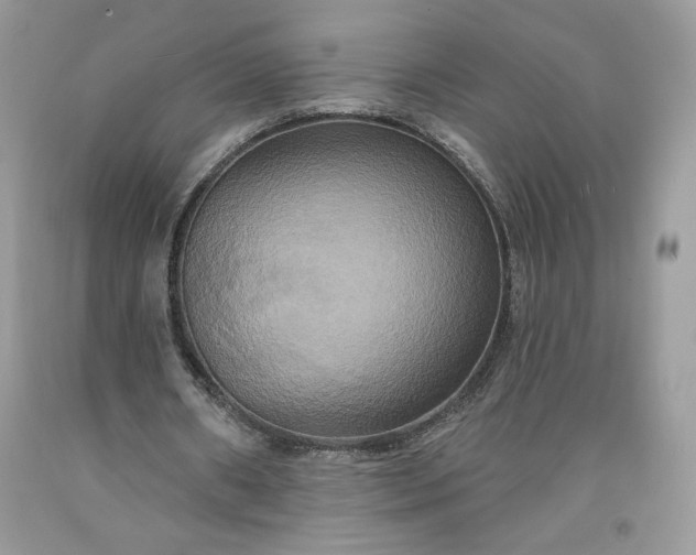 X0000091640482200709060941