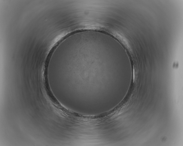 X0000091640483200709060941