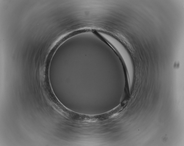 X0000091640484200709060941