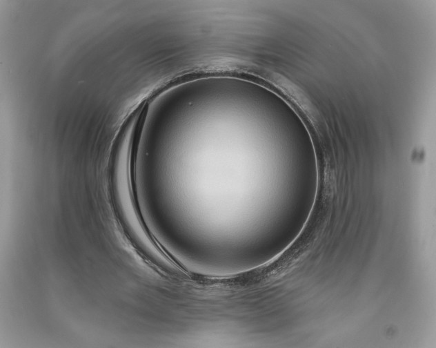 X0000091640485200709060941