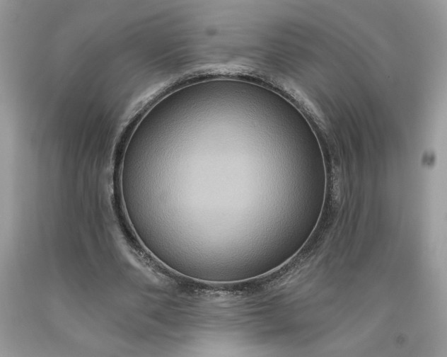 X0000091640486200709060941
