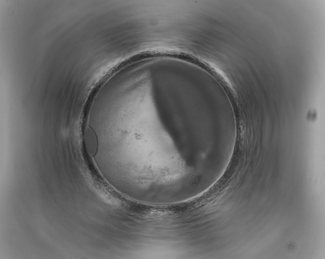 X0000091640487200709060941
