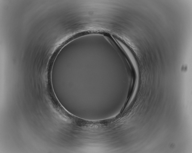 X0000091640488200709060941