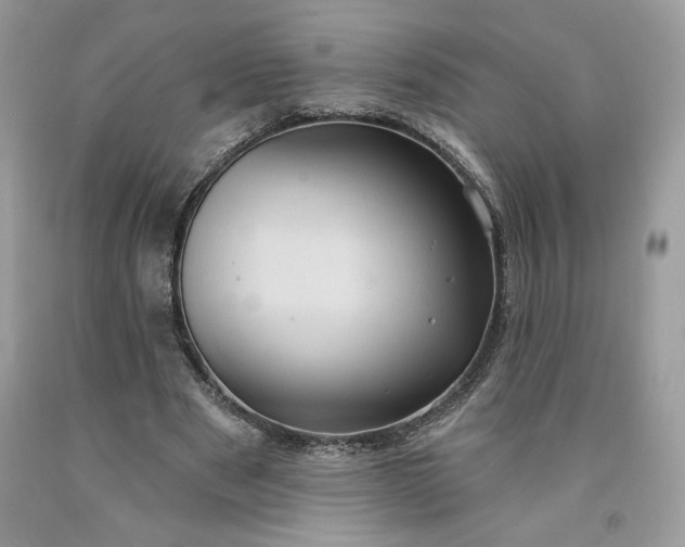 X0000091640489200709060941