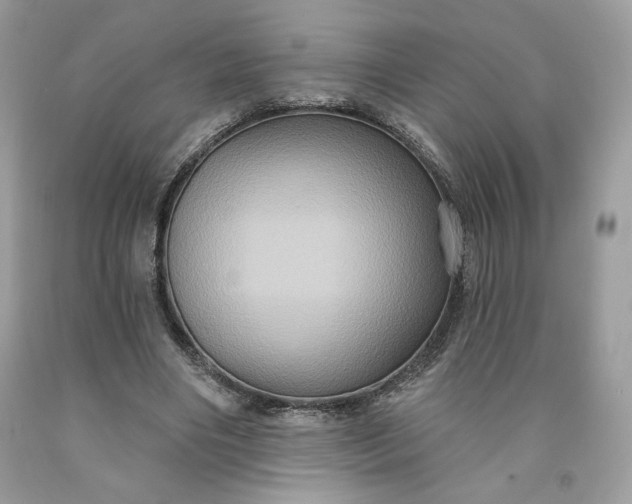 X0000091640490200709060941