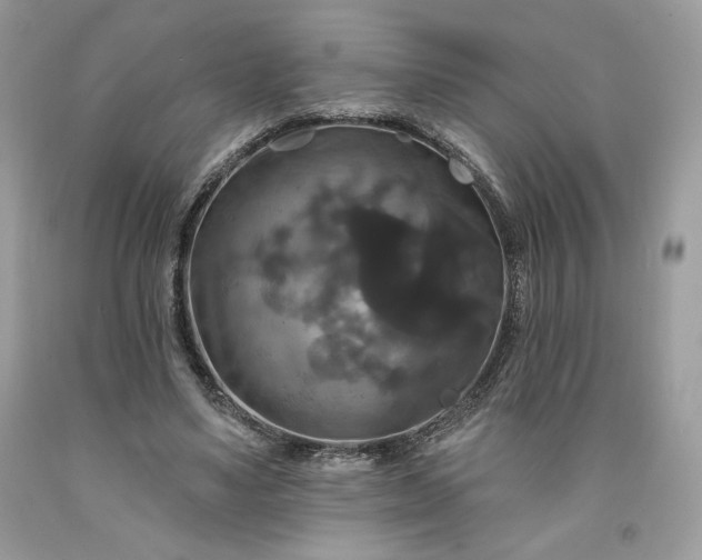 X0000091640491200709060941