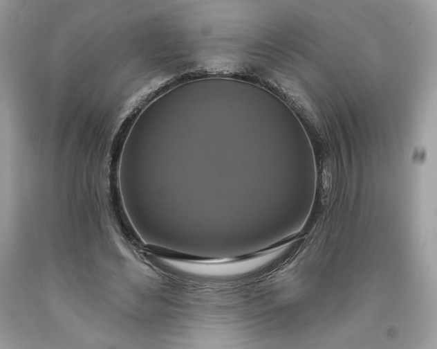 X0000091640492200709060941