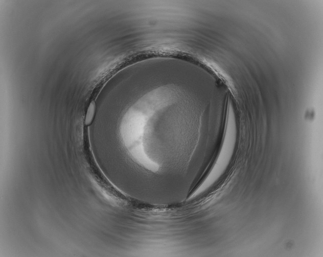 X0000091640493200709060941