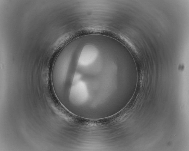 X0000091640494200709060941