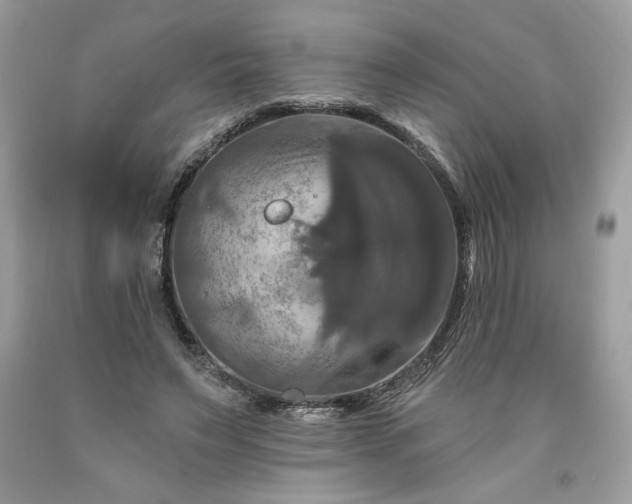 X0000091640495200709060941