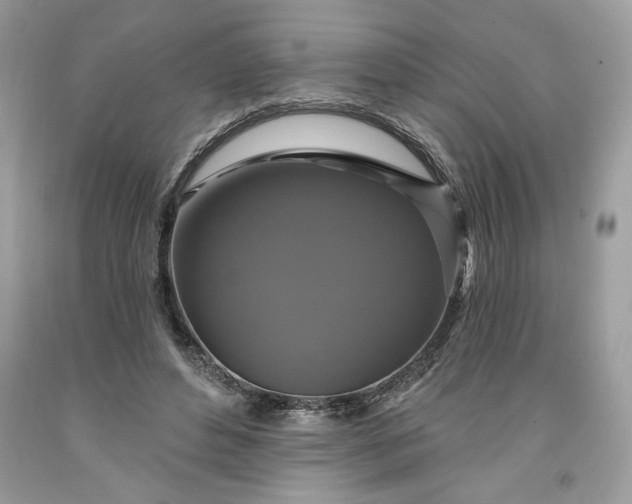 X0000091640496200709060941