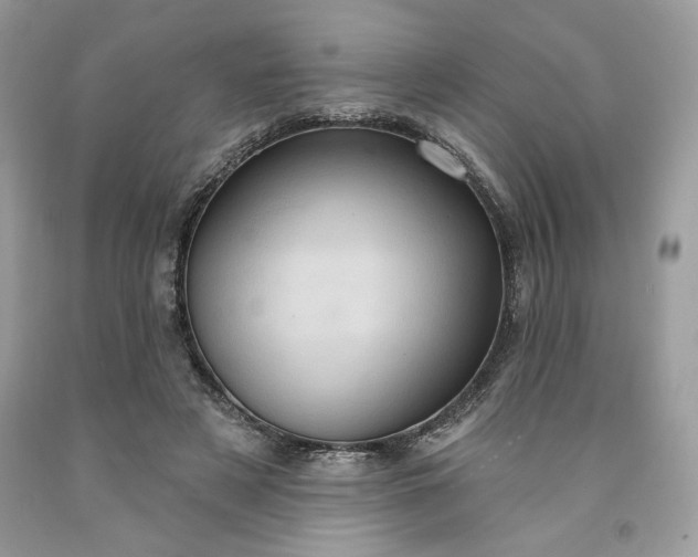 X0000091640497200709060941