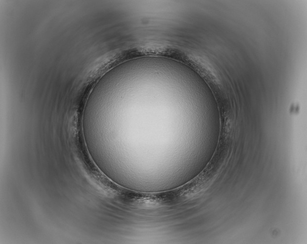 X0000091640498200709060941