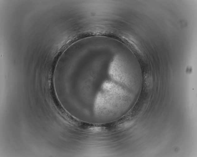 X0000091640499200709060941