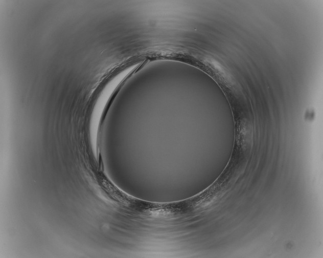 X0000091640500200709060941