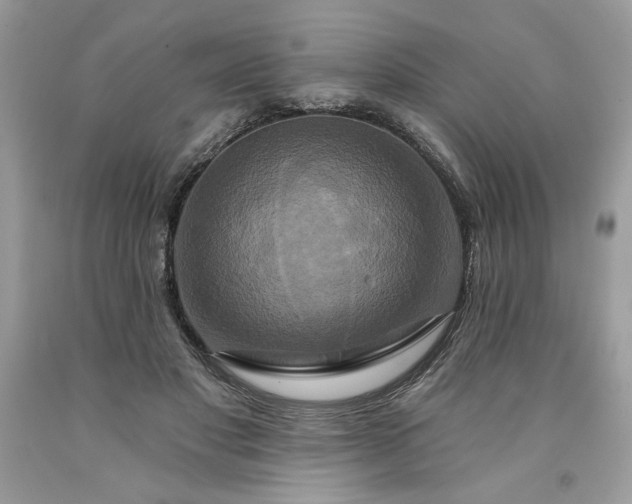 X0000091640501200709060940