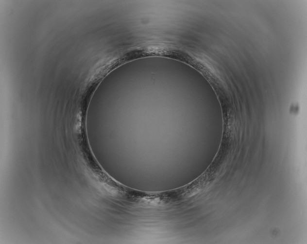 X0000091640502200709060940