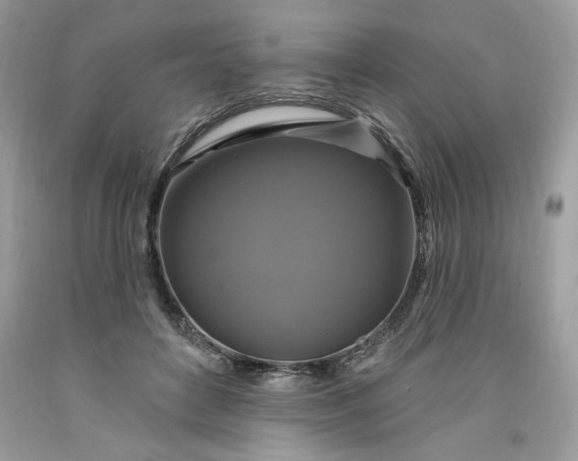 X0000091640504200709060940