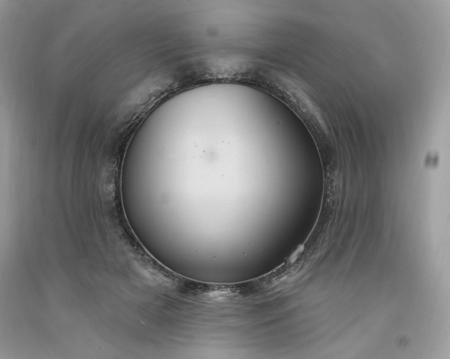 X0000091640505200709060940