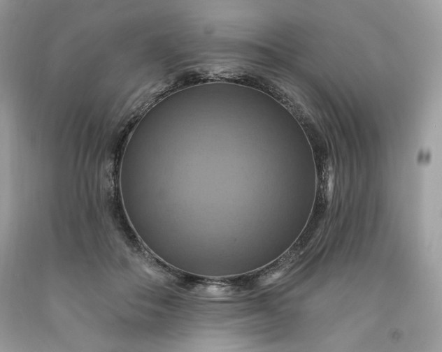 X0000091640506200709060940