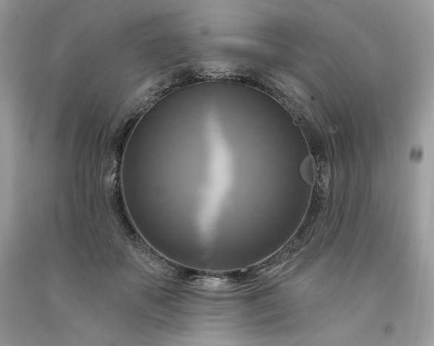 X0000091640507200709060940
