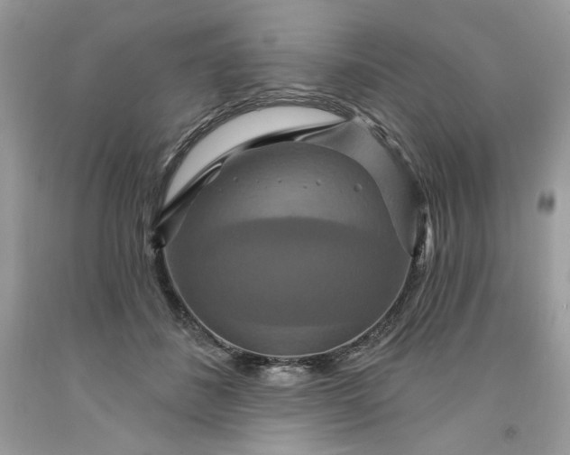 X0000091640508200709060940