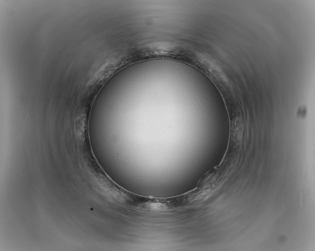 X0000091640509200709060940