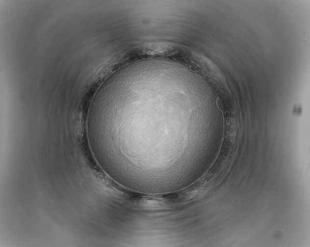 X0000091640510200709060940
