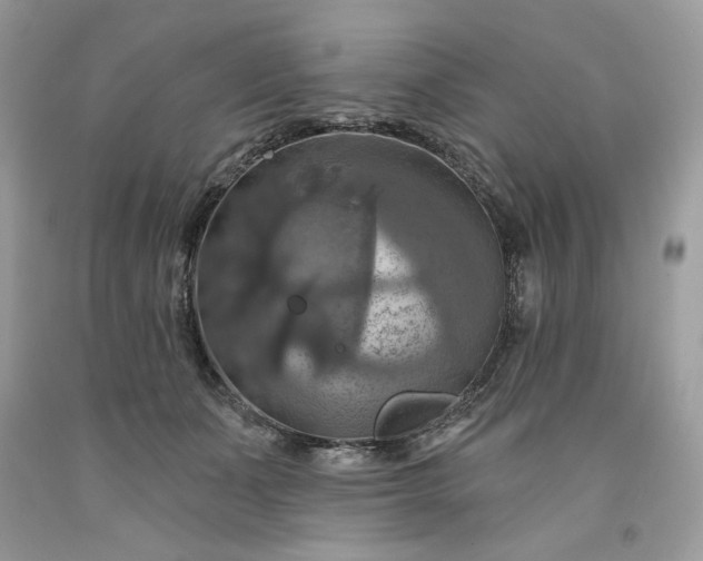 X0000091640511200709060940
