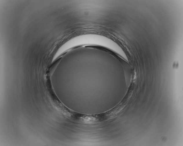X0000091640512200709060940