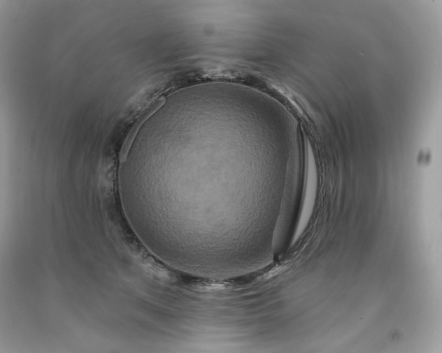 X0000091640513200709060940