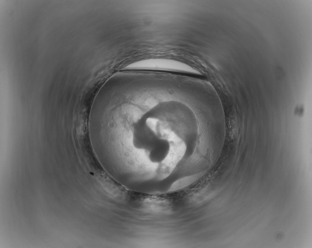 X0000091640515200709060940
