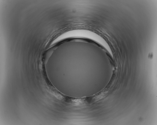 X0000091640516200709060940