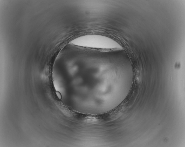 X0000091640519200709060940