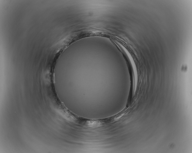 X0000091640520200709060940